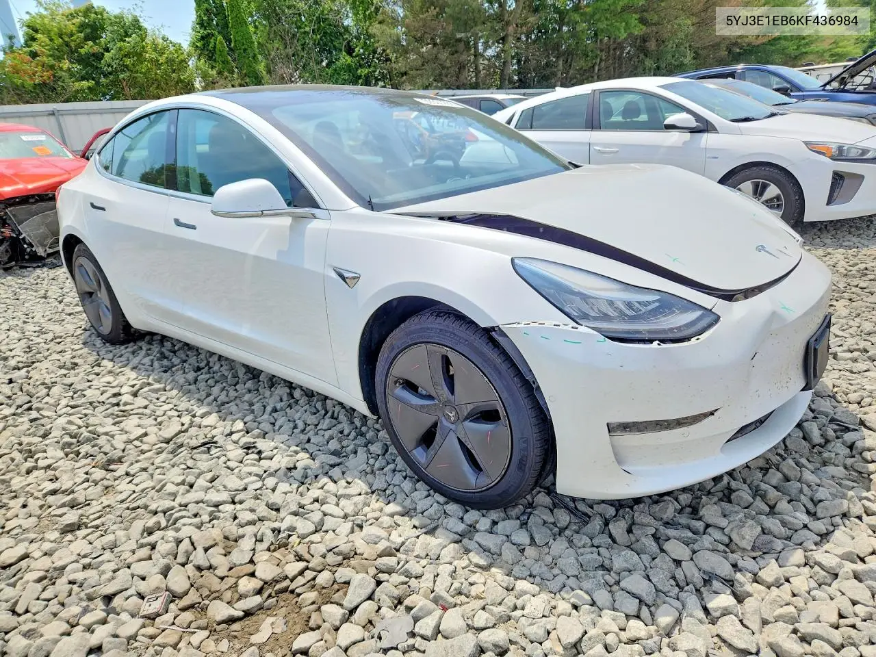 2019 Tesla Model 3 VIN: 5YJ3E1EB6KF436984 Lot: 59301286