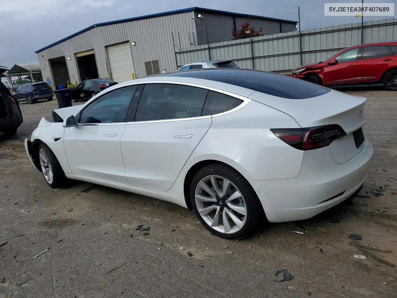 2019 Tesla Model 3 VIN: 5YJ3E1EA3KF407689 Lot: 61181356