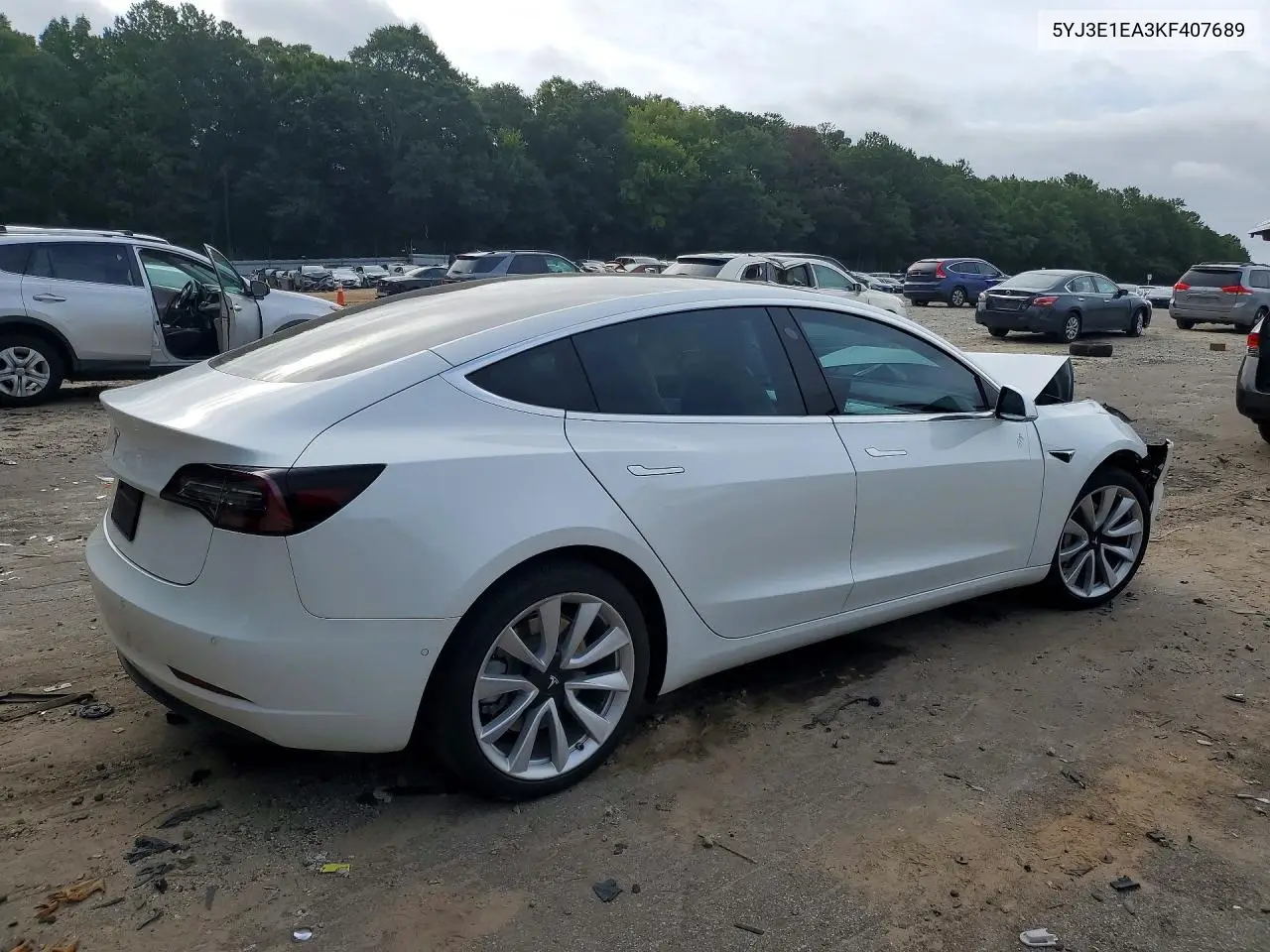 2019 Tesla Model 3 VIN: 5YJ3E1EA3KF407689 Lot: 61181356