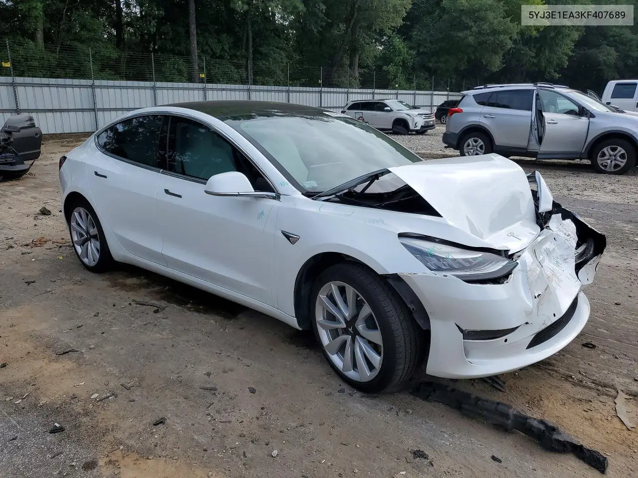 2019 Tesla Model 3 VIN: 5YJ3E1EA3KF407689 Lot: 61181356