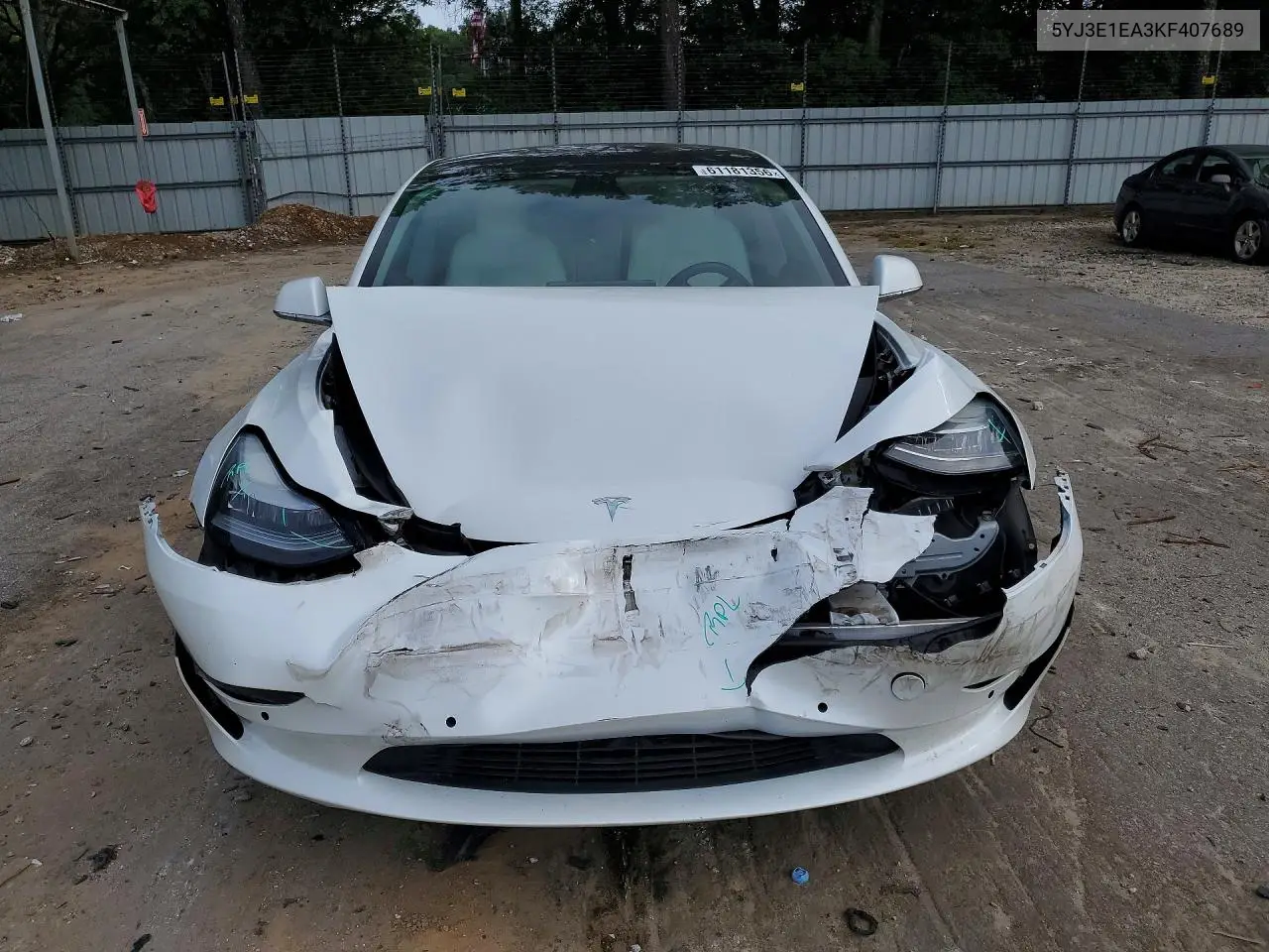 2019 Tesla Model 3 VIN: 5YJ3E1EA3KF407689 Lot: 61181356