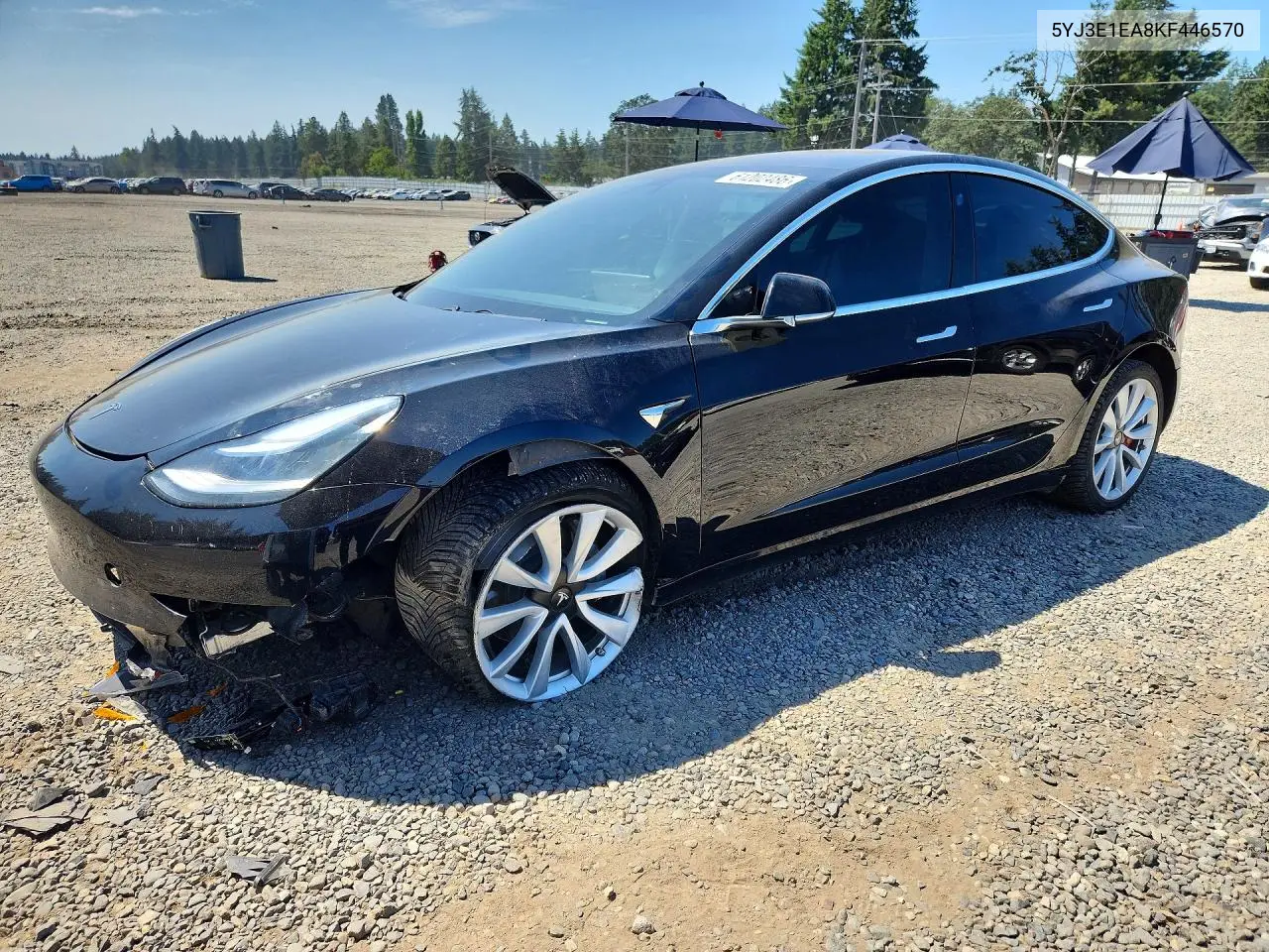 2019 Tesla Model 3 VIN: 5YJ3E1EA8KF446570 Lot: 61202486