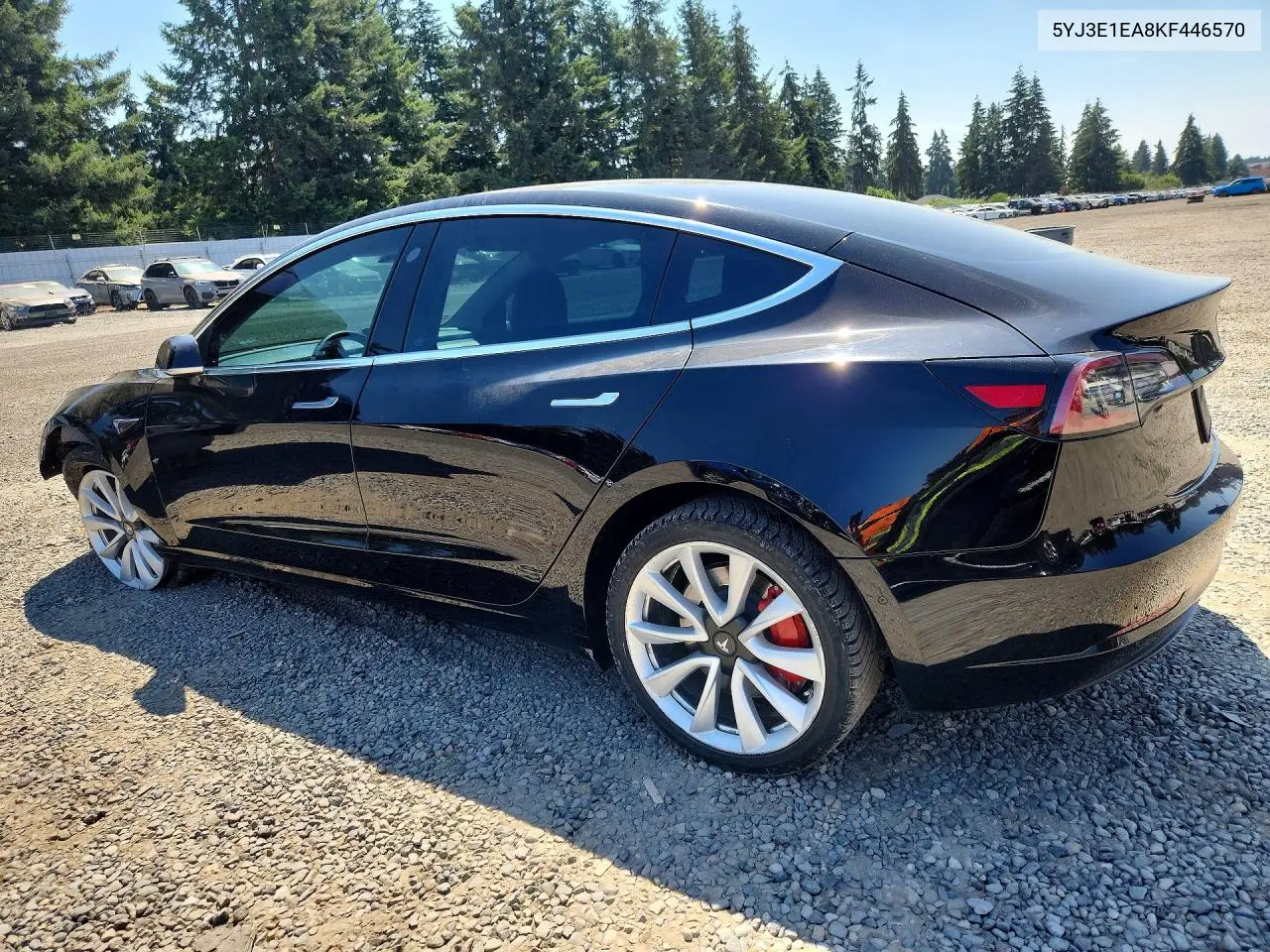 2019 Tesla Model 3 VIN: 5YJ3E1EA8KF446570 Lot: 61202486