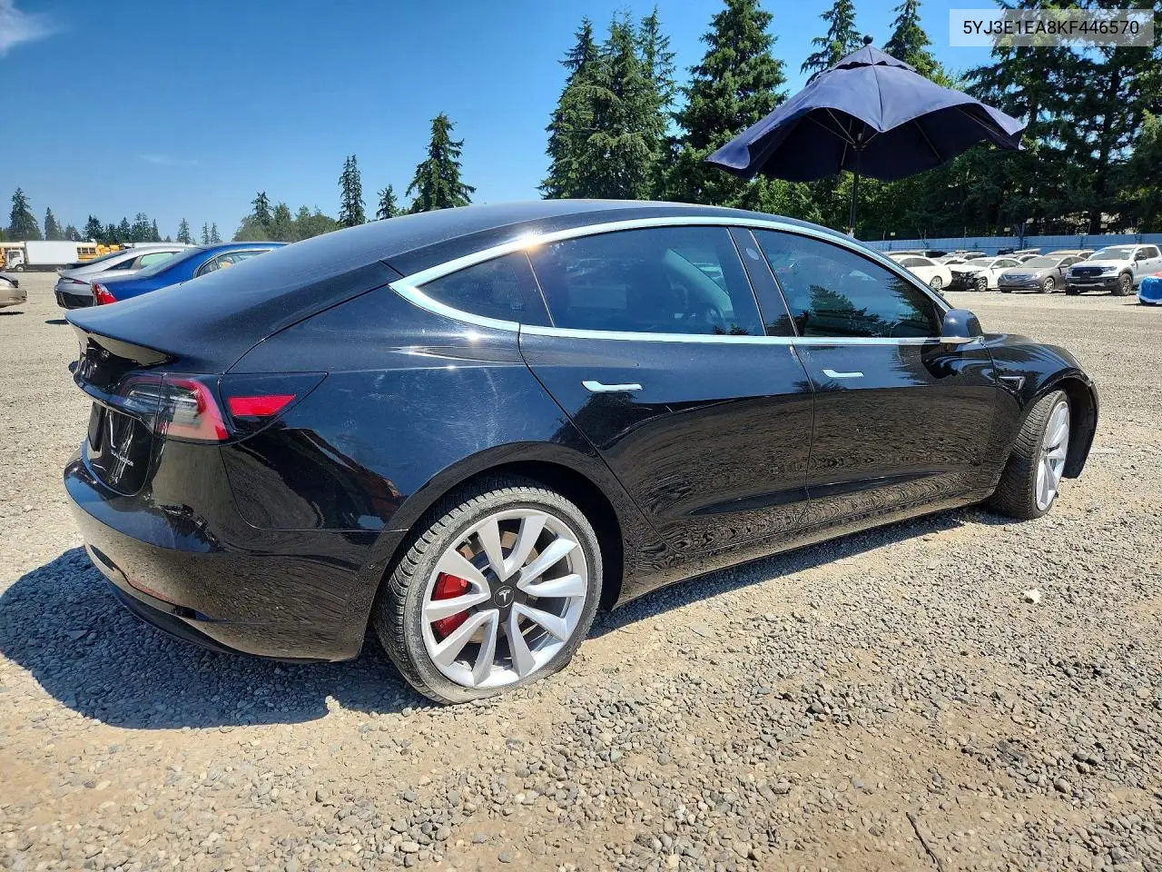 2019 Tesla Model 3 VIN: 5YJ3E1EA8KF446570 Lot: 61202486
