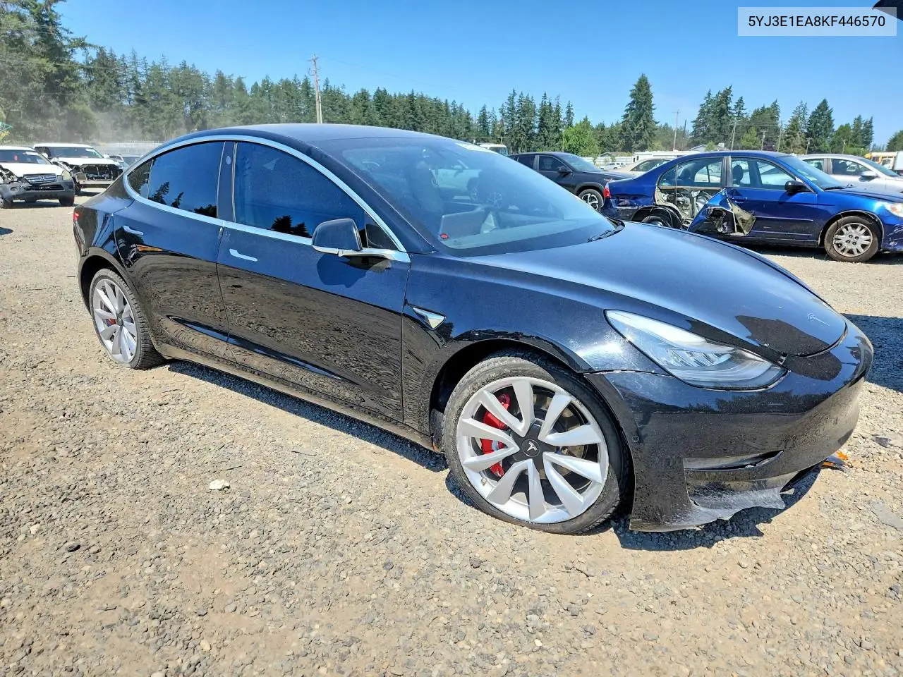 2019 Tesla Model 3 VIN: 5YJ3E1EA8KF446570 Lot: 61202486