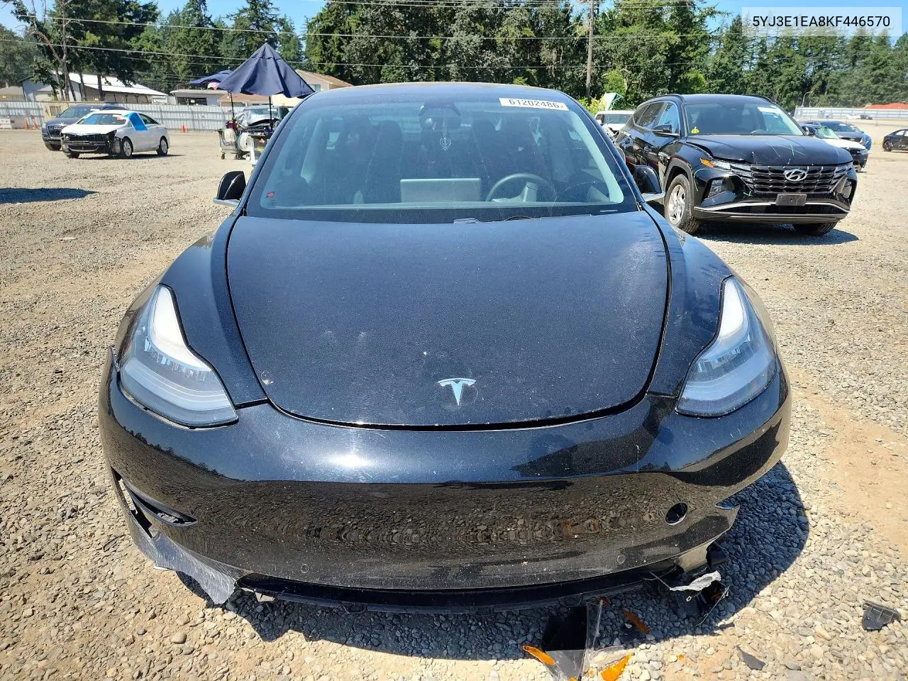 2019 Tesla Model 3 VIN: 5YJ3E1EA8KF446570 Lot: 61202486