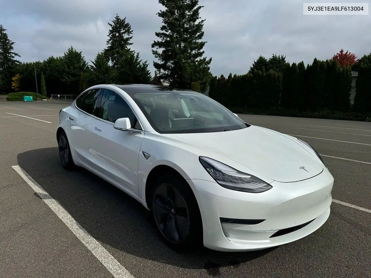 2020 Tesla Model 3 VIN: 5YJ3E1EA9LF613004 Lot: 62113796
