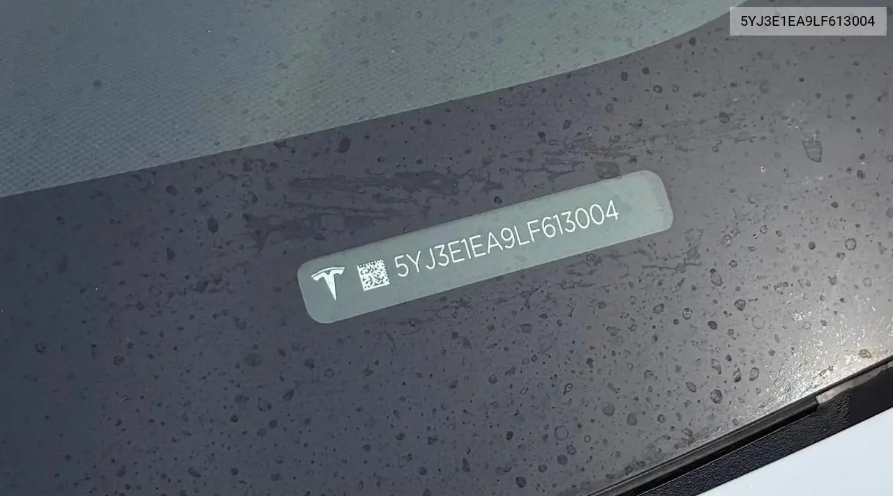 2020 Tesla Model 3 VIN: 5YJ3E1EA9LF613004 Lot: 62113796