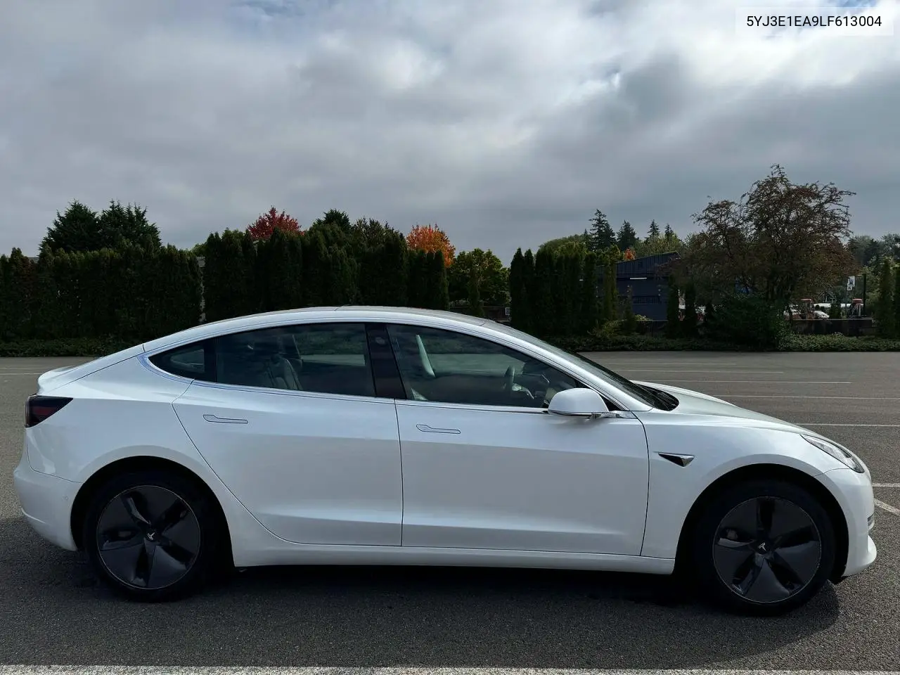 2020 Tesla Model 3 VIN: 5YJ3E1EA9LF613004 Lot: 62113796