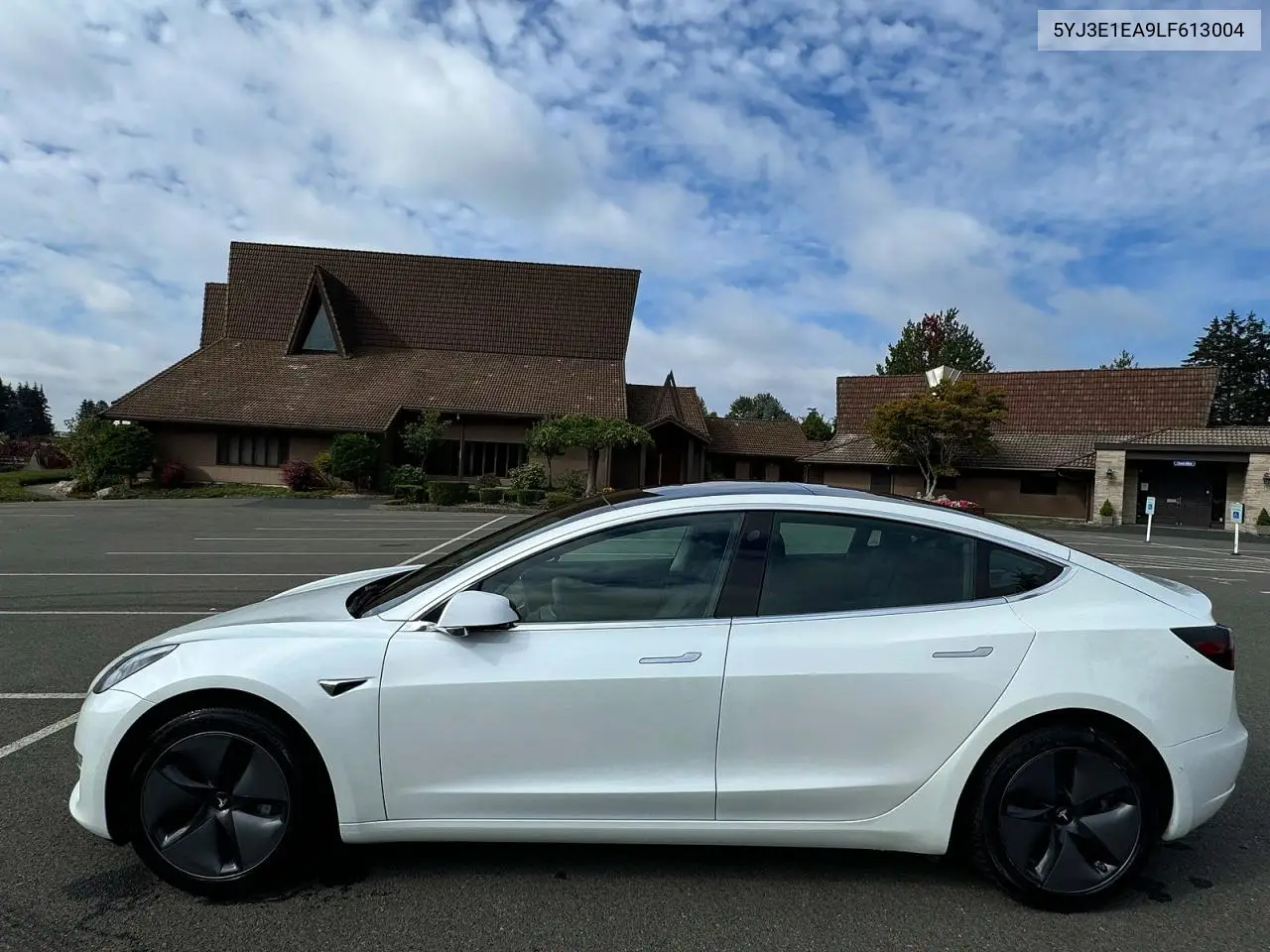 2020 Tesla Model 3 VIN: 5YJ3E1EA9LF613004 Lot: 62113796