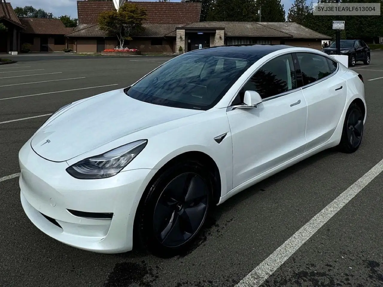 2020 Tesla Model 3 VIN: 5YJ3E1EA9LF613004 Lot: 62113796