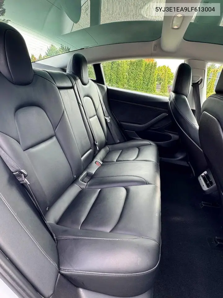 2020 Tesla Model 3 VIN: 5YJ3E1EA9LF613004 Lot: 62113796