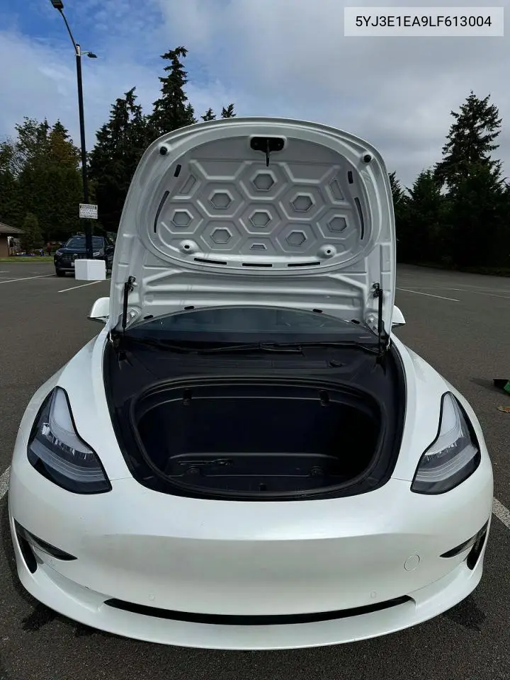 2020 Tesla Model 3 VIN: 5YJ3E1EA9LF613004 Lot: 62113796