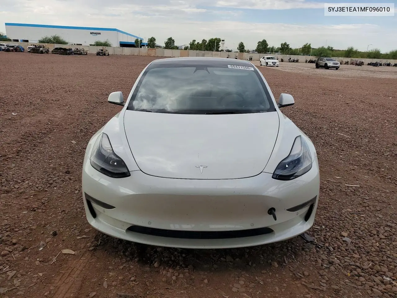 2021 Tesla Model 3 VIN: 5YJ3E1EA1MF096010 Lot: 60431506