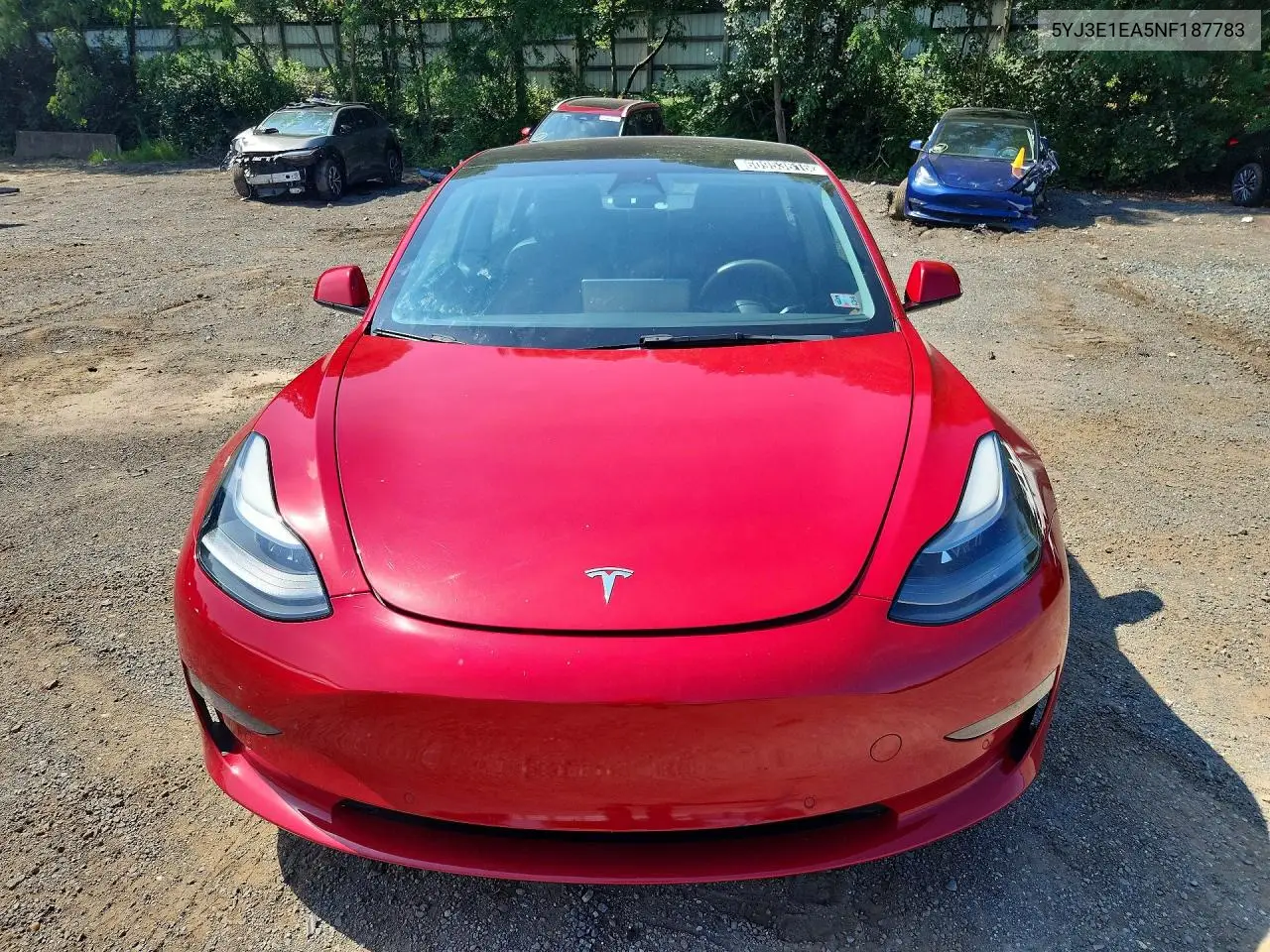 2022 Tesla Model 3 VIN: 5YJ3E1EA5NF187783 Lot: 60953616