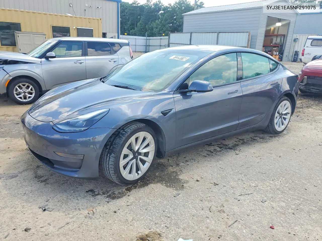 2022 Tesla Model 3 VIN: 5YJ3E1EA5NF291075 Lot: 61229116