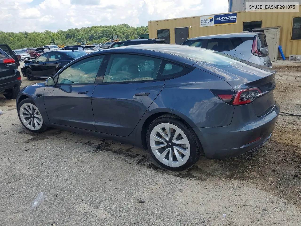2022 Tesla Model 3 VIN: 5YJ3E1EA5NF291075 Lot: 61229116