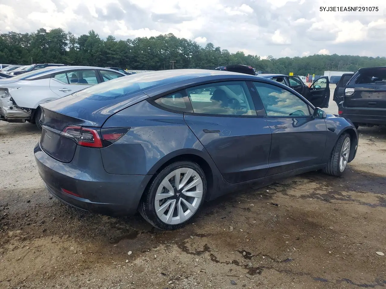 2022 Tesla Model 3 VIN: 5YJ3E1EA5NF291075 Lot: 61229116
