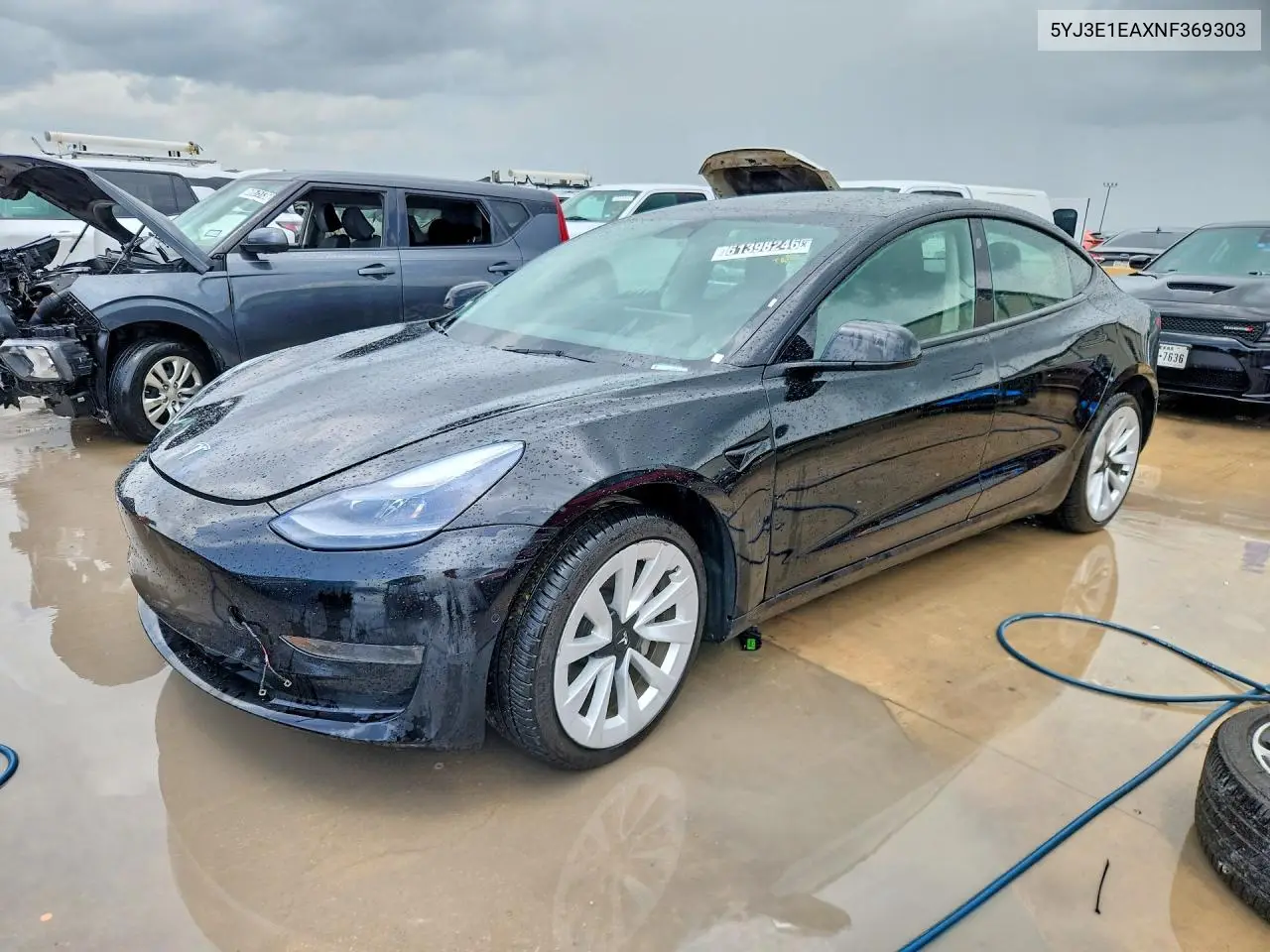 2022 Tesla Model 3 VIN: 5YJ3E1EAXNF369303 Lot: 61398246