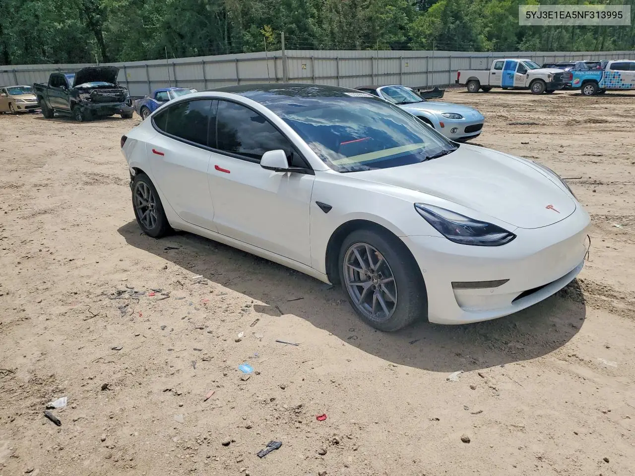 2022 Tesla Model 3 VIN: 5YJ3E1EA5NF313995 Lot: 61546636