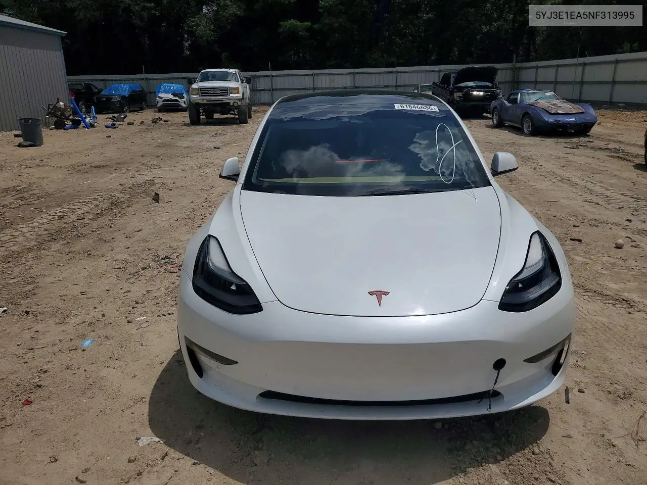 2022 Tesla Model 3 VIN: 5YJ3E1EA5NF313995 Lot: 61546636