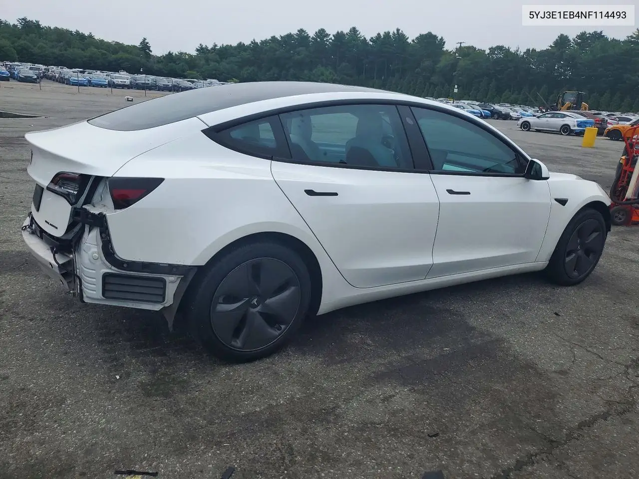 2022 Tesla Model 3 VIN: 5YJ3E1EB4NF114493 Lot: 61561306