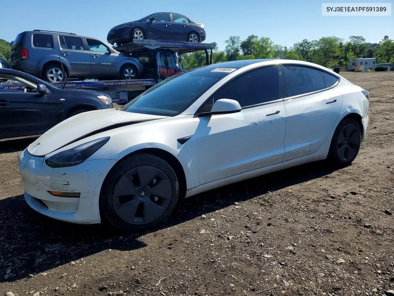 2023 Tesla Model 3 VIN: 5YJ3E1EA1PF591389 Lot: 57538826