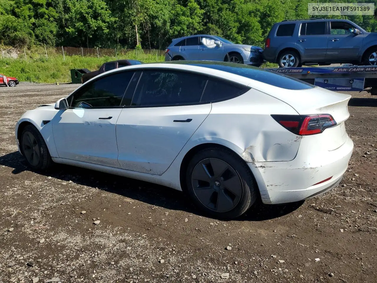 2023 Tesla Model 3 VIN: 5YJ3E1EA1PF591389 Lot: 57538826