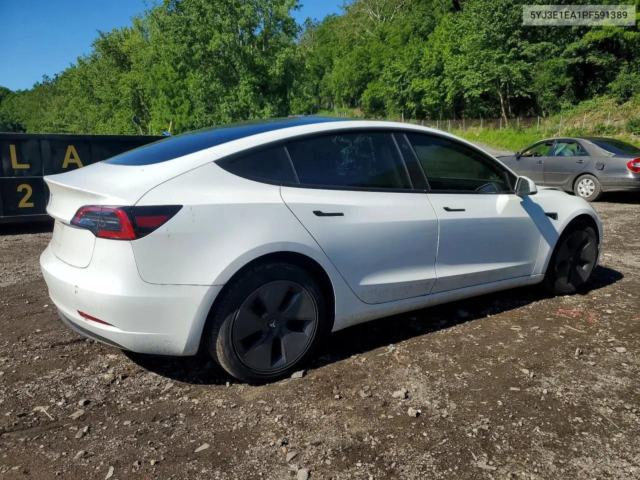 2023 Tesla Model 3 VIN: 5YJ3E1EA1PF591389 Lot: 57538826