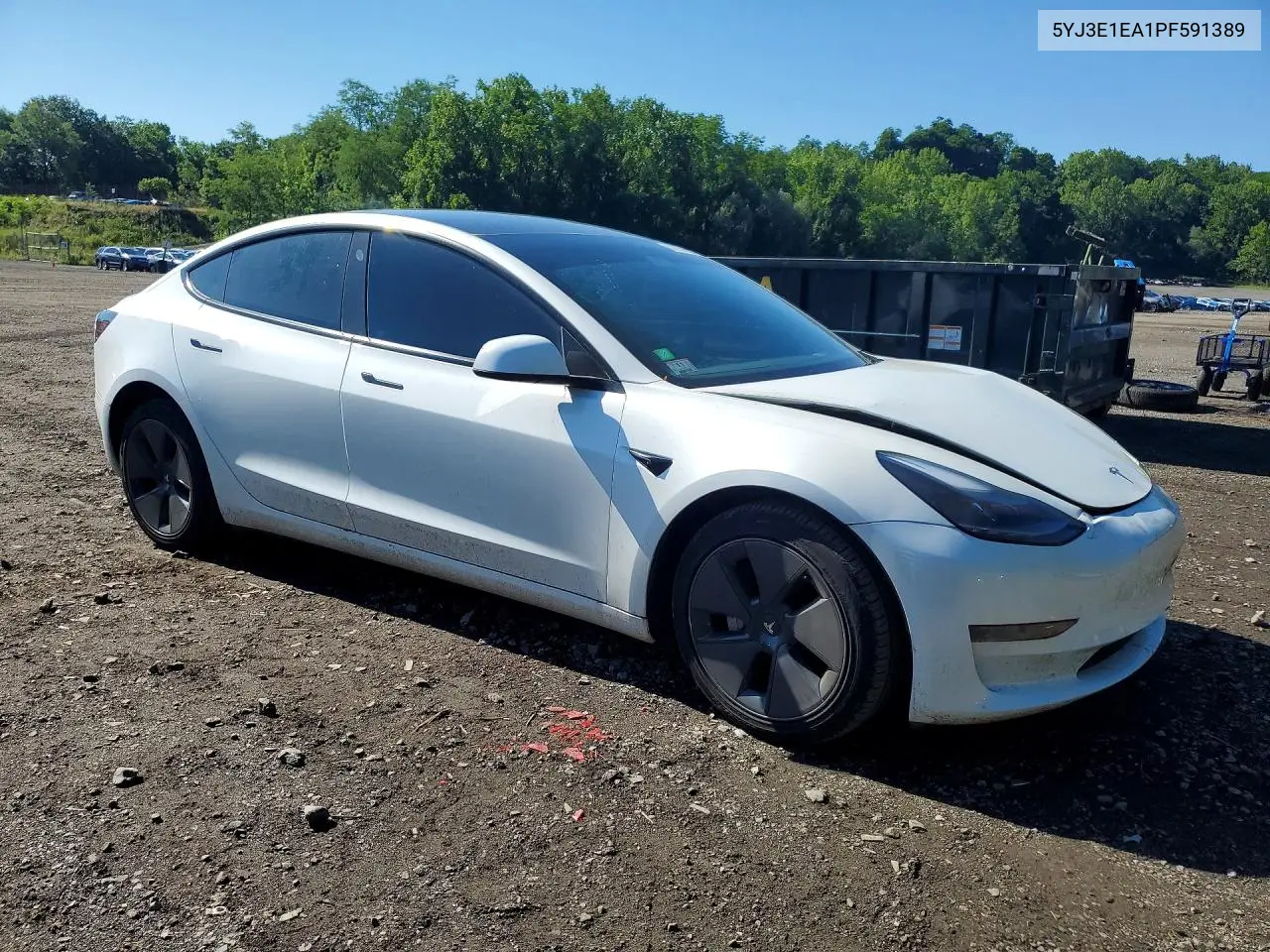 2023 Tesla Model 3 VIN: 5YJ3E1EA1PF591389 Lot: 57538826