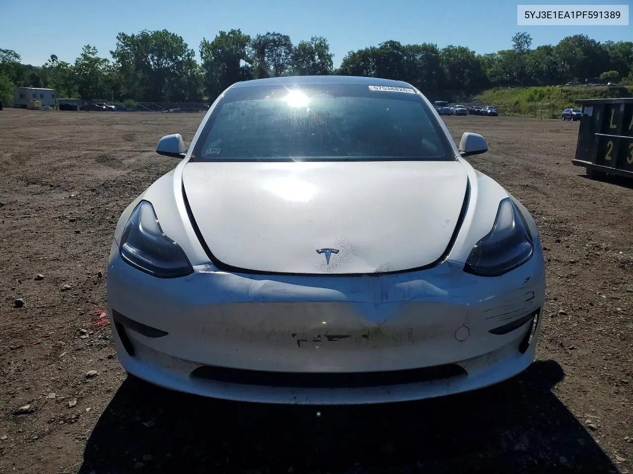 2023 Tesla Model 3 VIN: 5YJ3E1EA1PF591389 Lot: 57538826