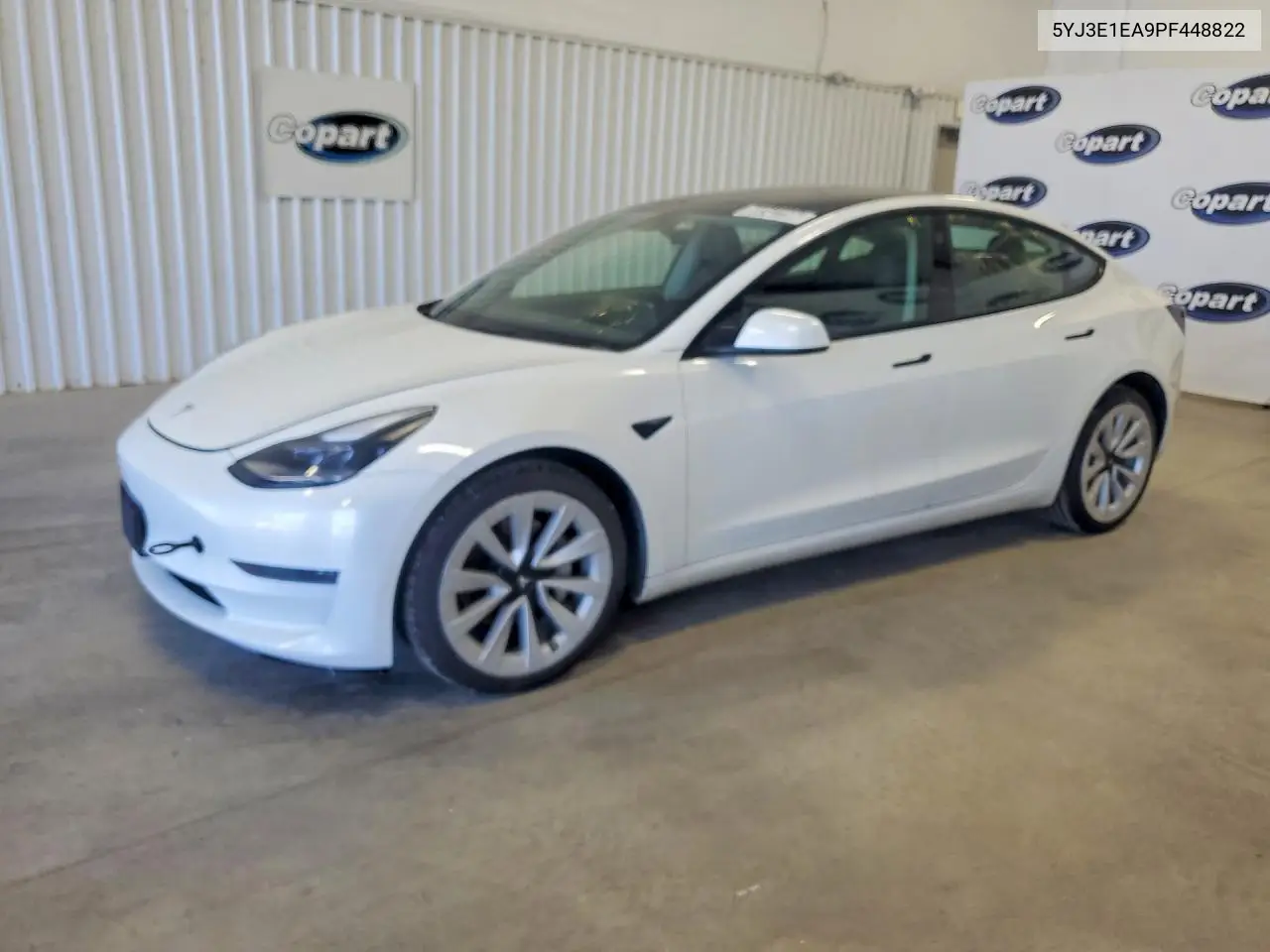 2023 Tesla Model 3 VIN: 5YJ3E1EA9PF448822 Lot: 59342206