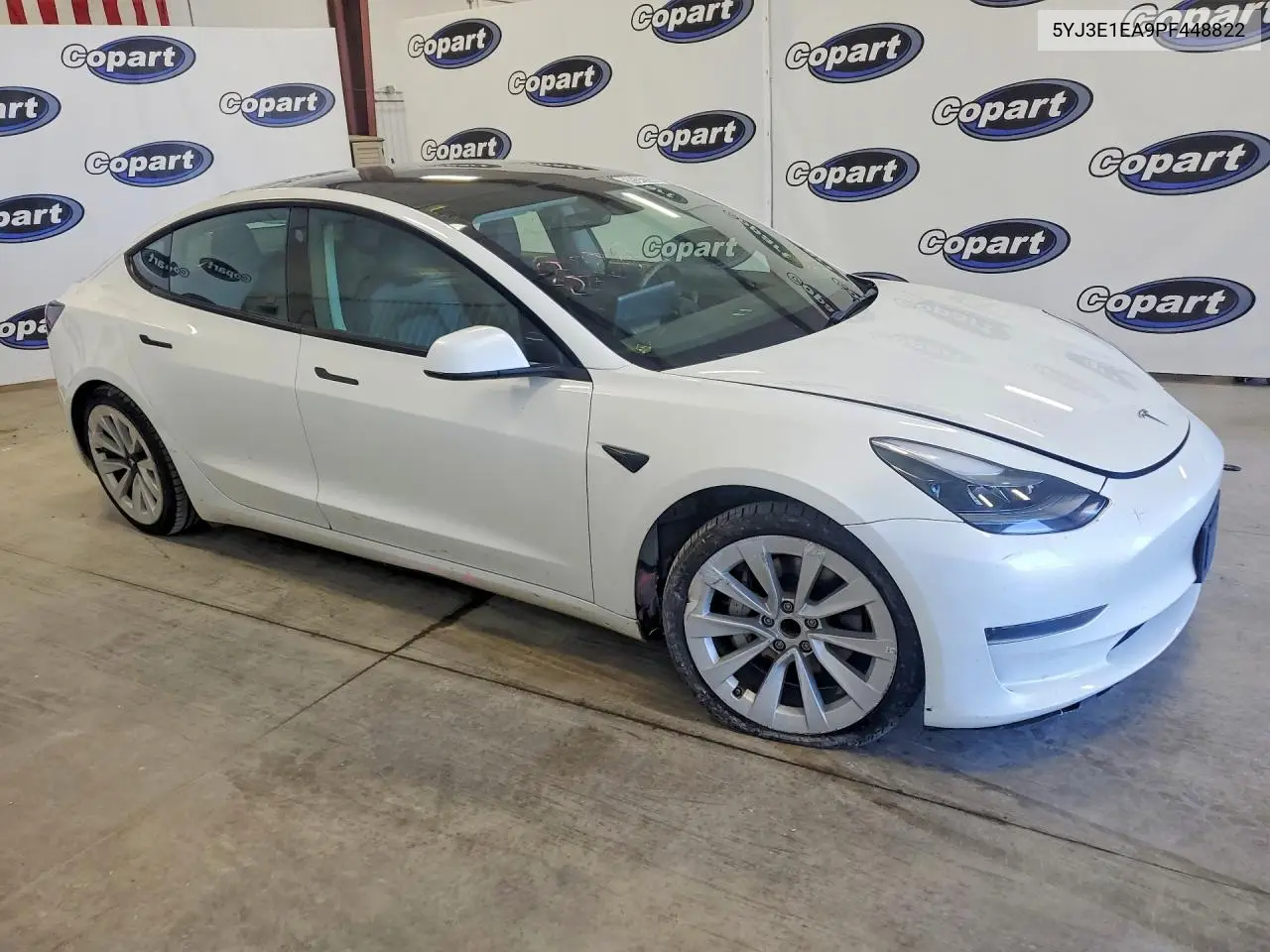 2023 Tesla Model 3 VIN: 5YJ3E1EA9PF448822 Lot: 59342206