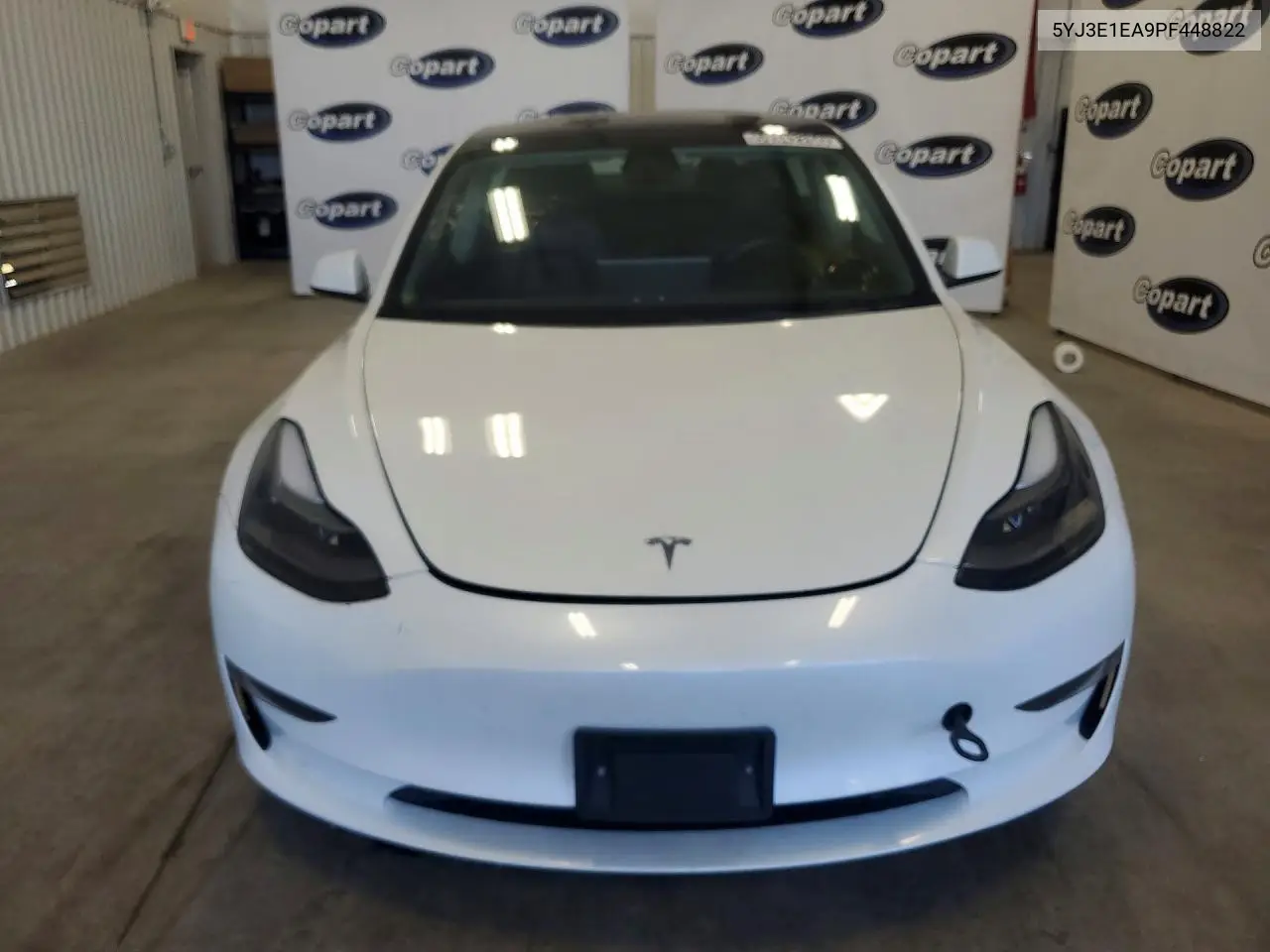 2023 Tesla Model 3 VIN: 5YJ3E1EA9PF448822 Lot: 59342206