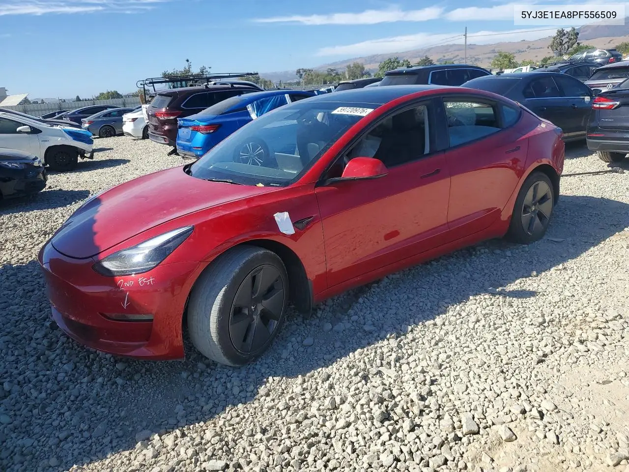 2023 Tesla Model 3 VIN: 5YJ3E1EA8PF556509 Lot: 59720976