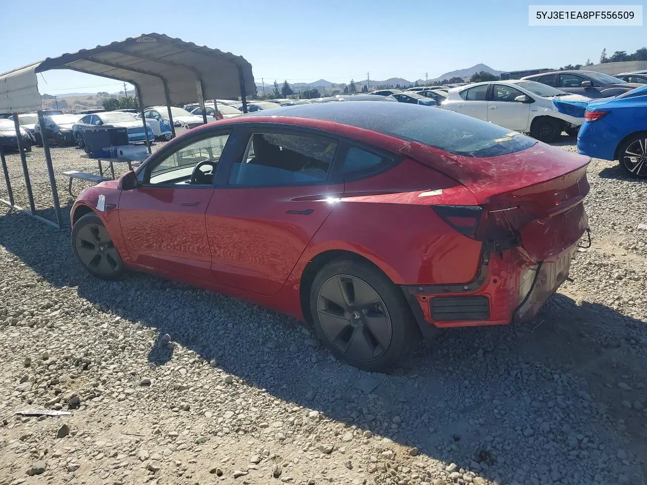 2023 Tesla Model 3 VIN: 5YJ3E1EA8PF556509 Lot: 59720976