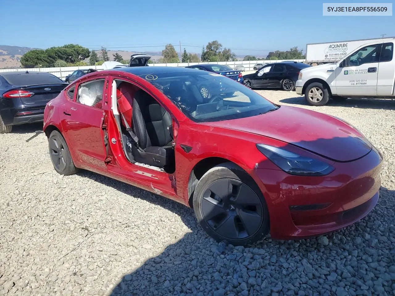 2023 Tesla Model 3 VIN: 5YJ3E1EA8PF556509 Lot: 59720976