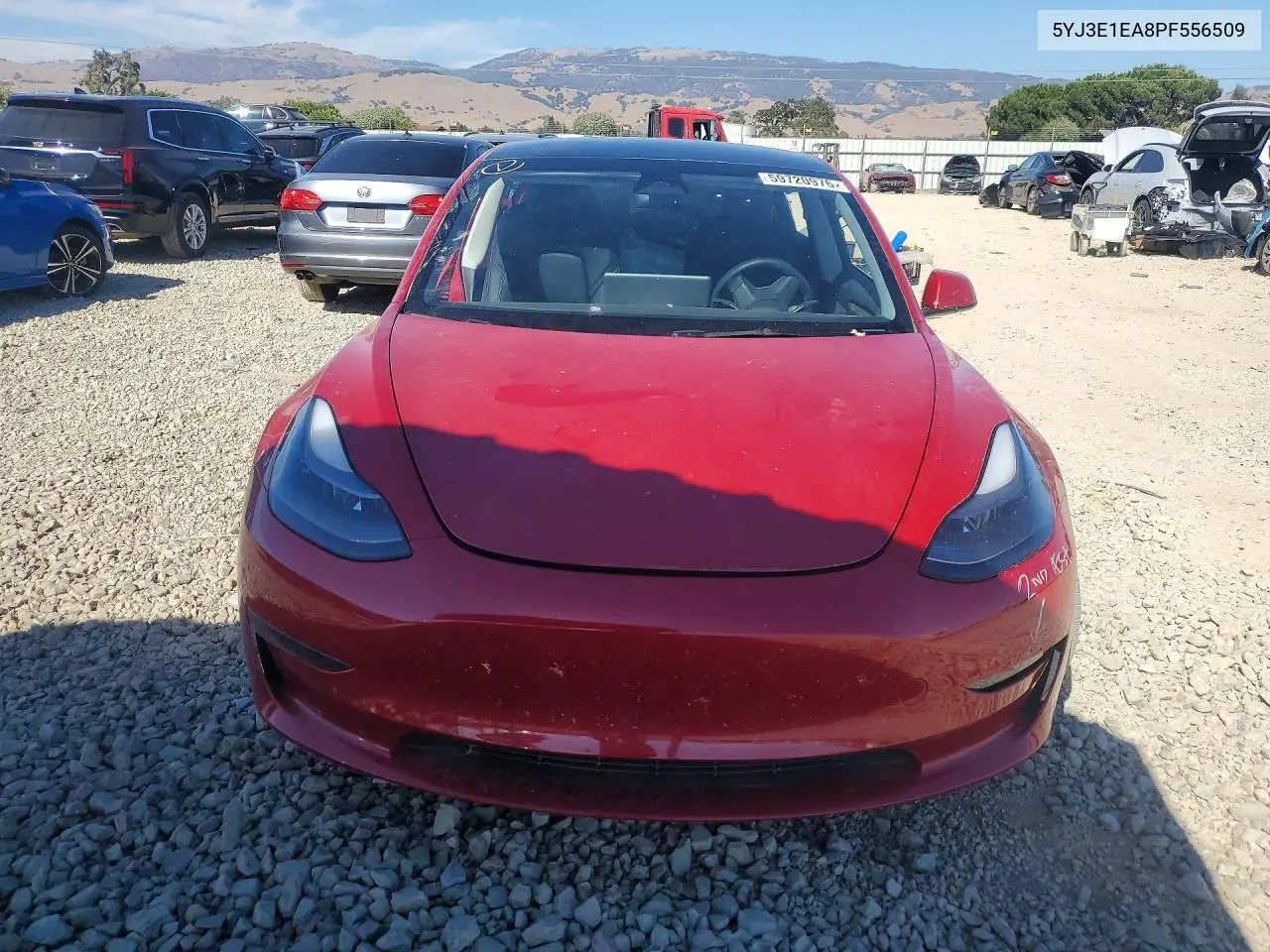 2023 Tesla Model 3 VIN: 5YJ3E1EA8PF556509 Lot: 59720976