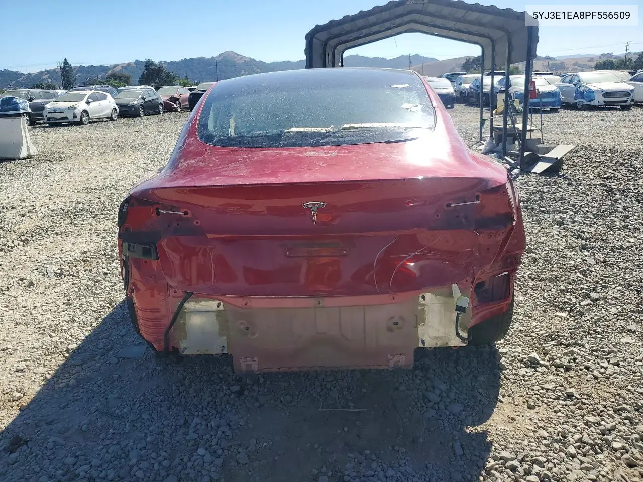 2023 Tesla Model 3 VIN: 5YJ3E1EA8PF556509 Lot: 59720976