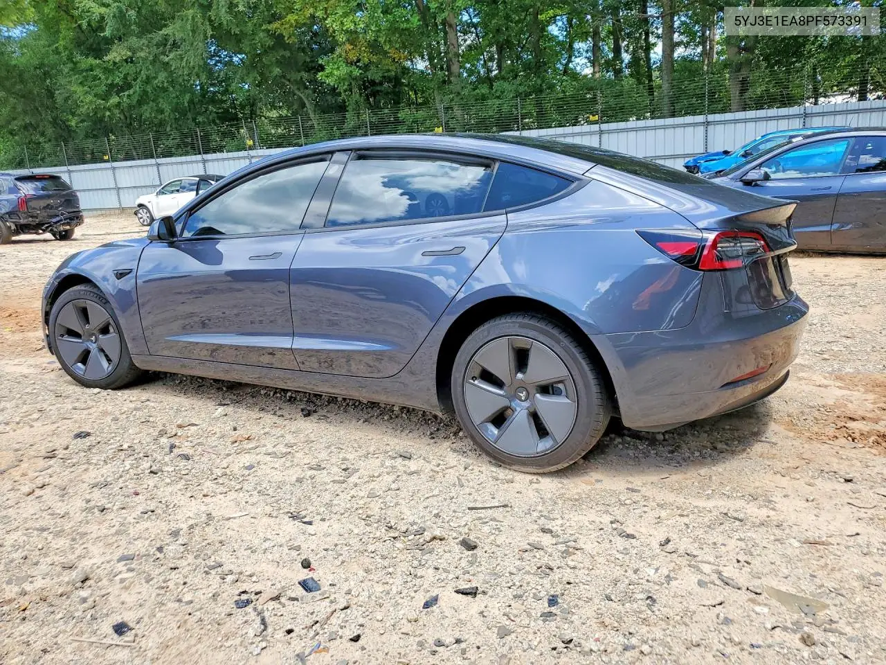 2023 Tesla Model 3 VIN: 5YJ3E1EA8PF573391 Lot: 60203416