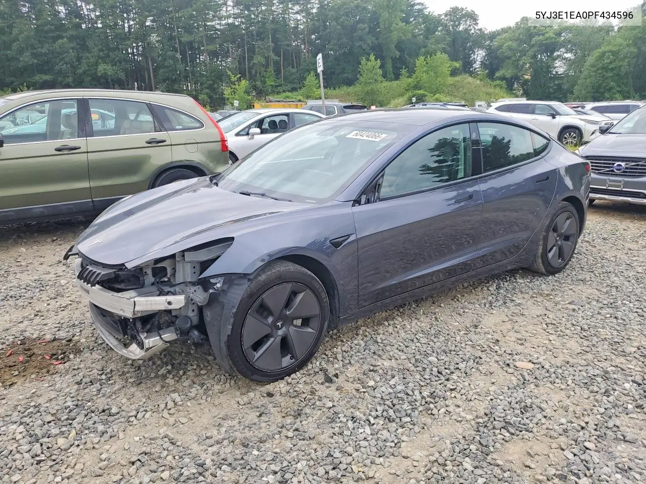 2023 Tesla Model 3 VIN: 5YJ3E1EA0PF434596 Lot: 60424066