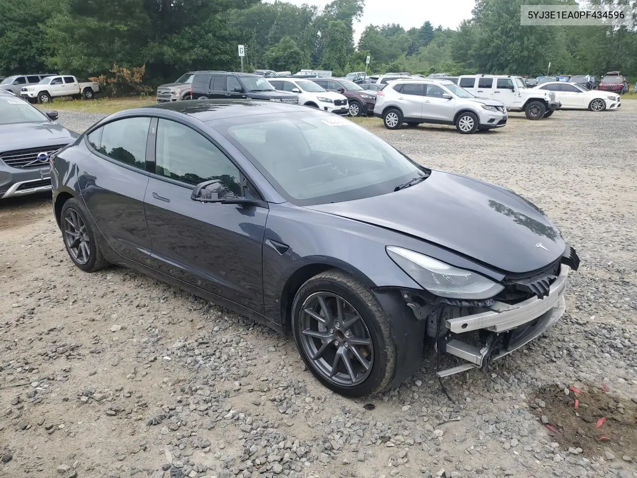 2023 Tesla Model 3 VIN: 5YJ3E1EA0PF434596 Lot: 60424066