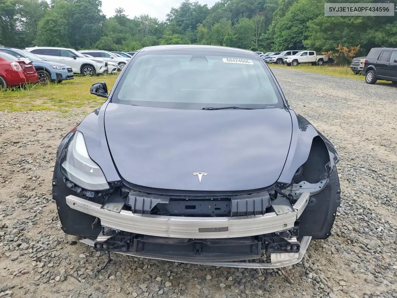 2023 Tesla Model 3 VIN: 5YJ3E1EA0PF434596 Lot: 60424066