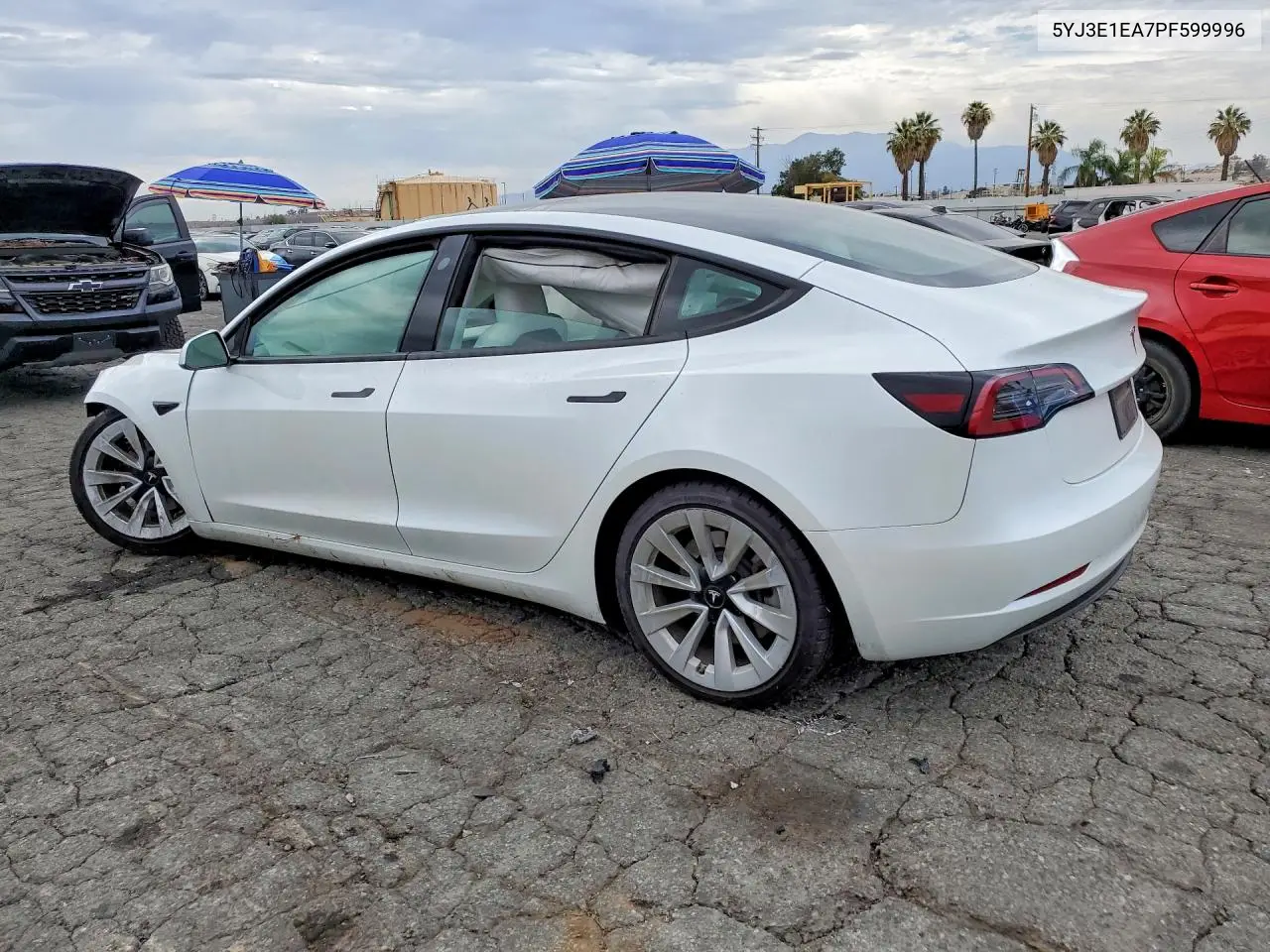 2023 Tesla Model 3 VIN: 5YJ3E1EA7PF599996 Lot: 61408926