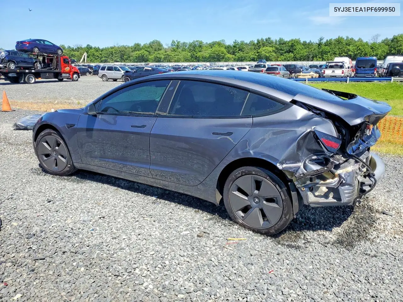 2023 Tesla Model 3 VIN: 5YJ3E1EA1PF699950 Lot: 61556146