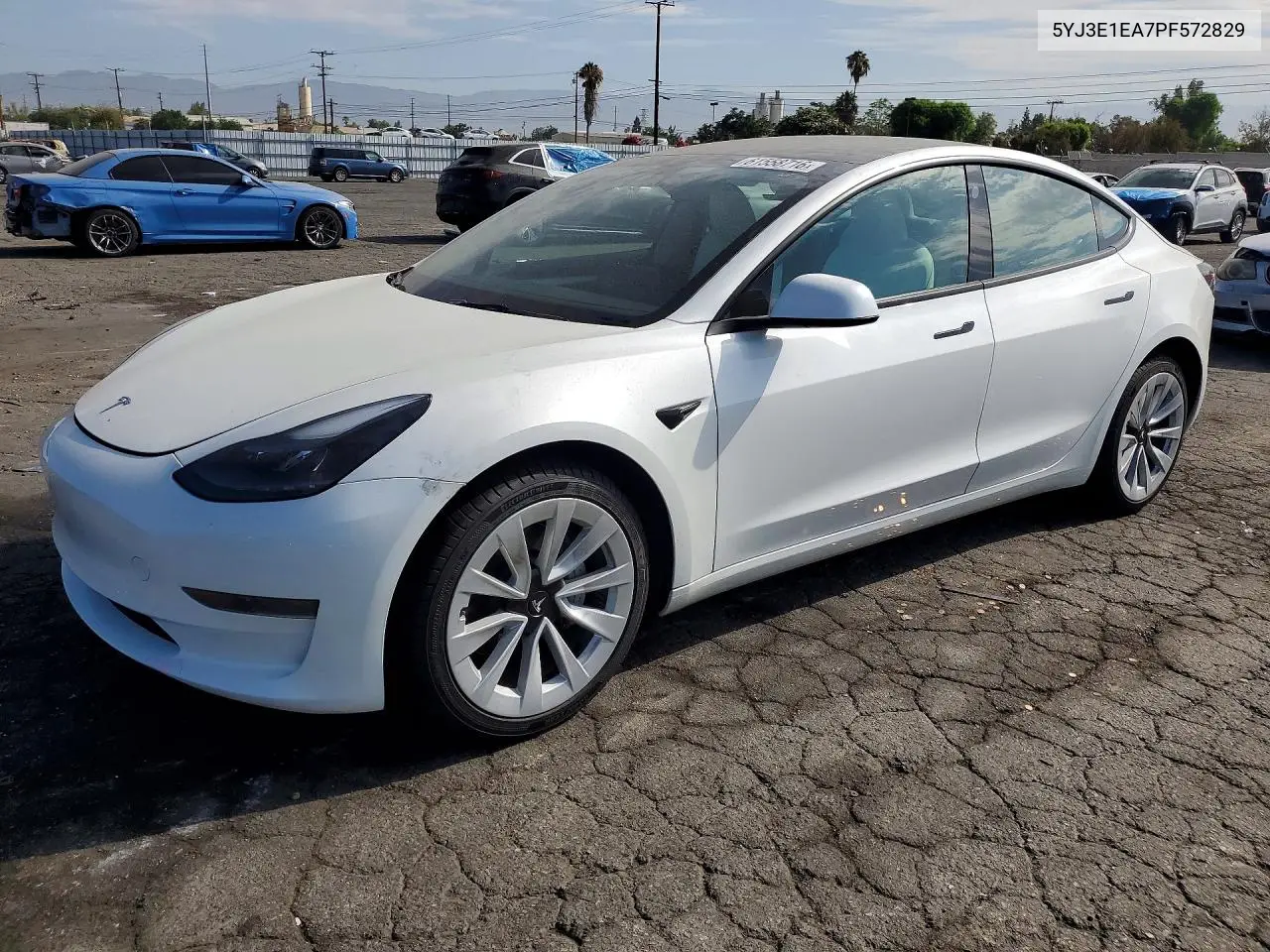 2023 Tesla Model 3 VIN: 5YJ3E1EA7PF572829 Lot: 61558716