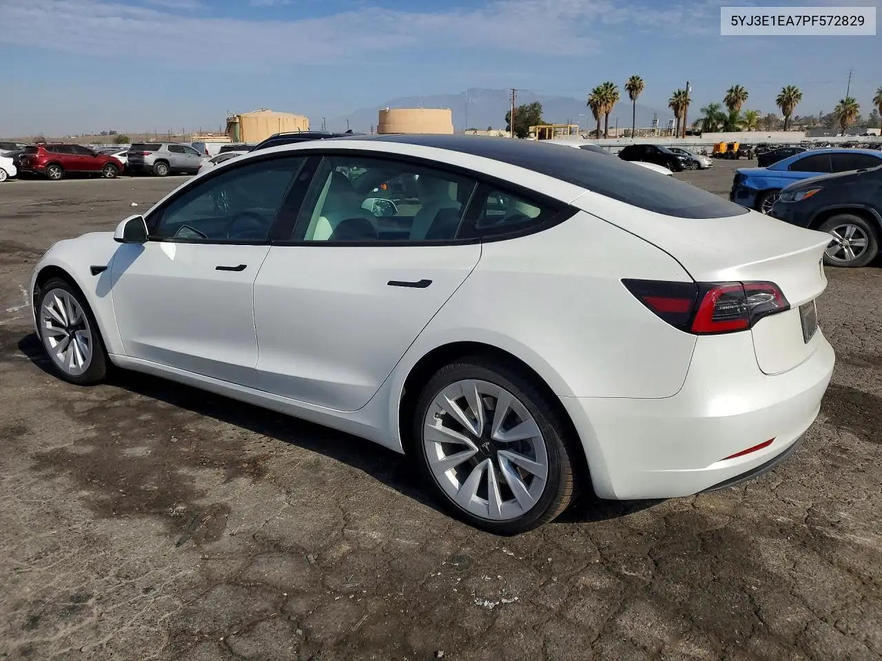 2023 Tesla Model 3 VIN: 5YJ3E1EA7PF572829 Lot: 61558716