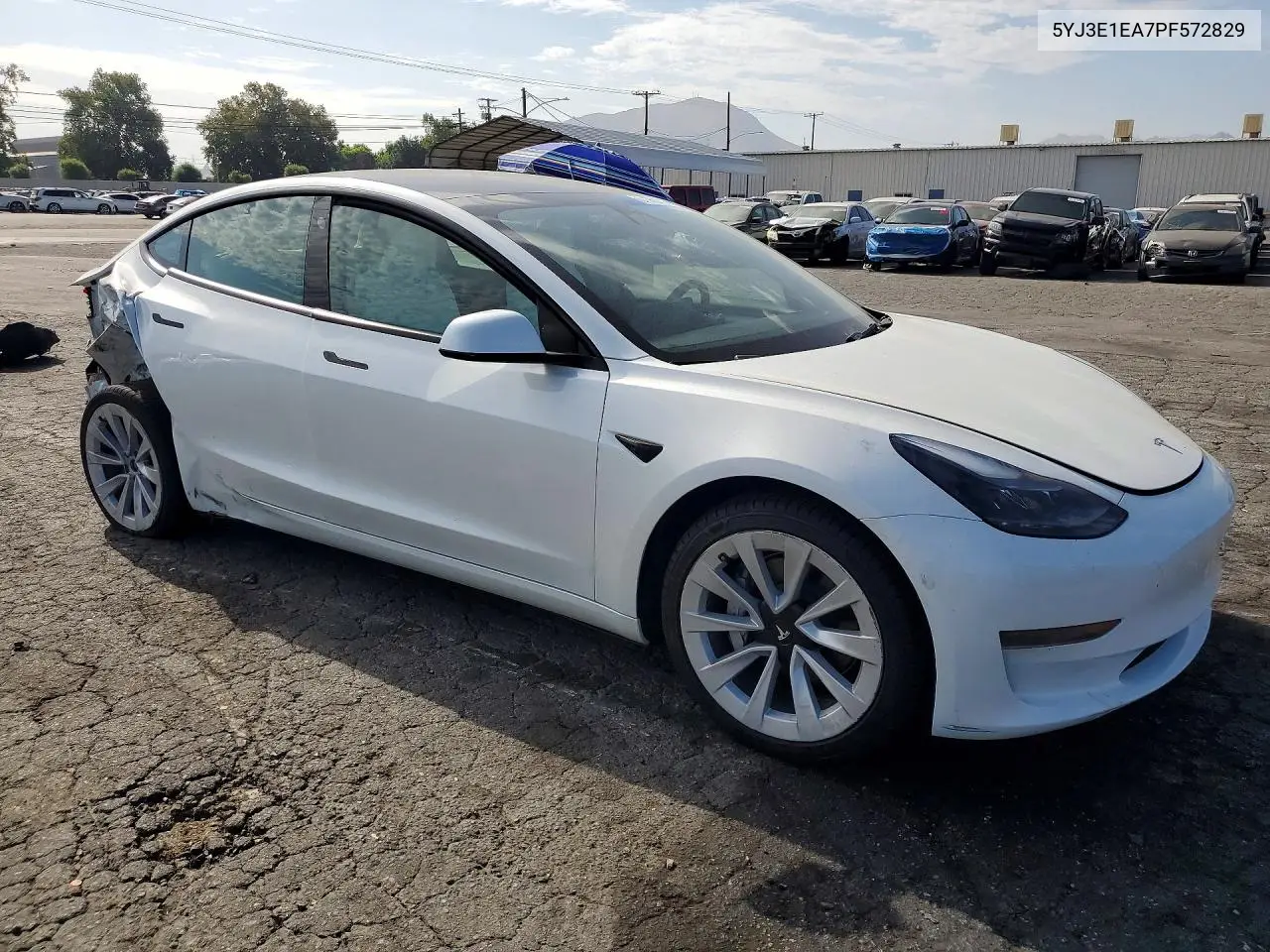 2023 Tesla Model 3 VIN: 5YJ3E1EA7PF572829 Lot: 61558716