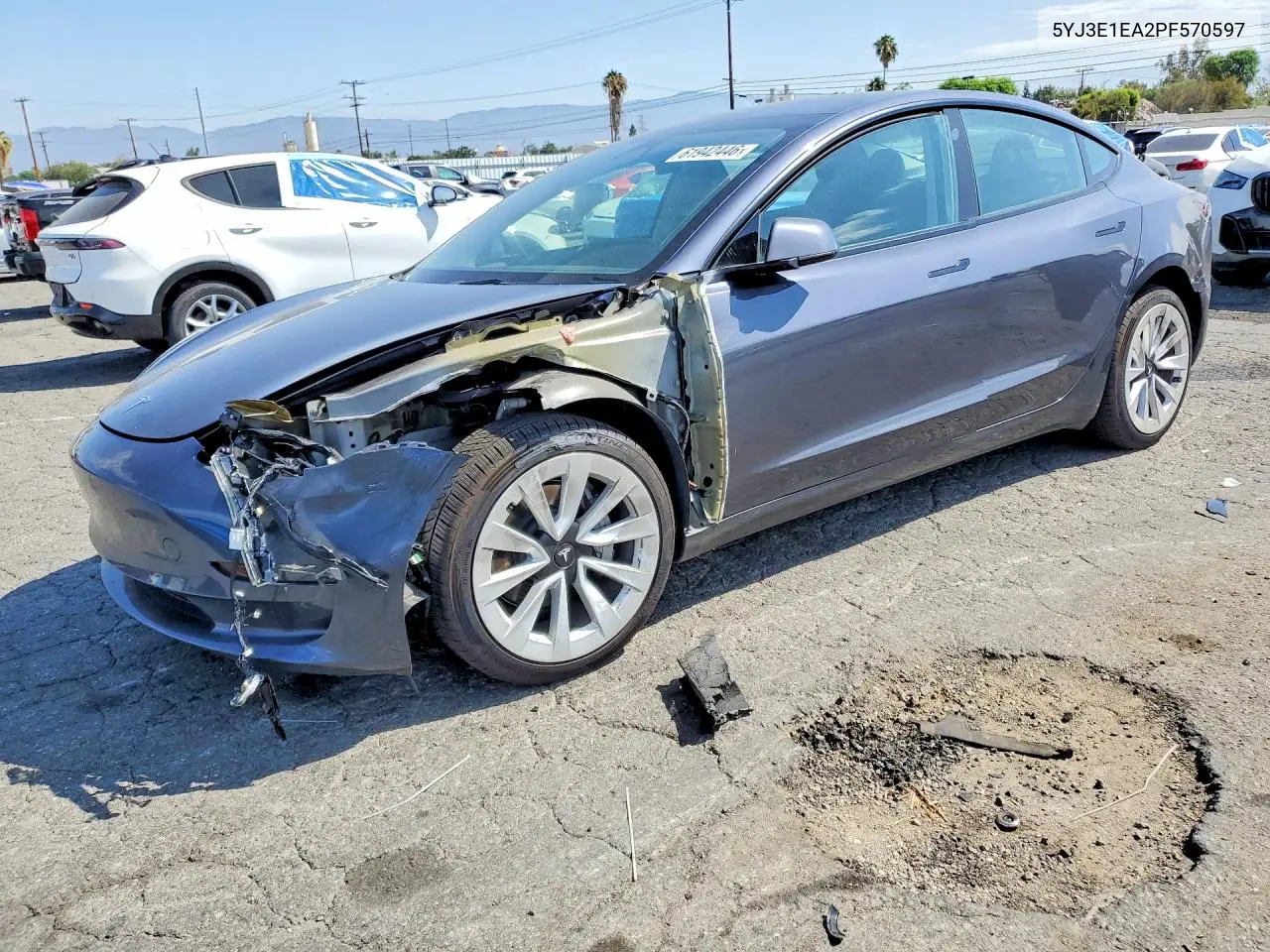 2023 Tesla Model 3 VIN: 5YJ3E1EA2PF570597 Lot: 61942446