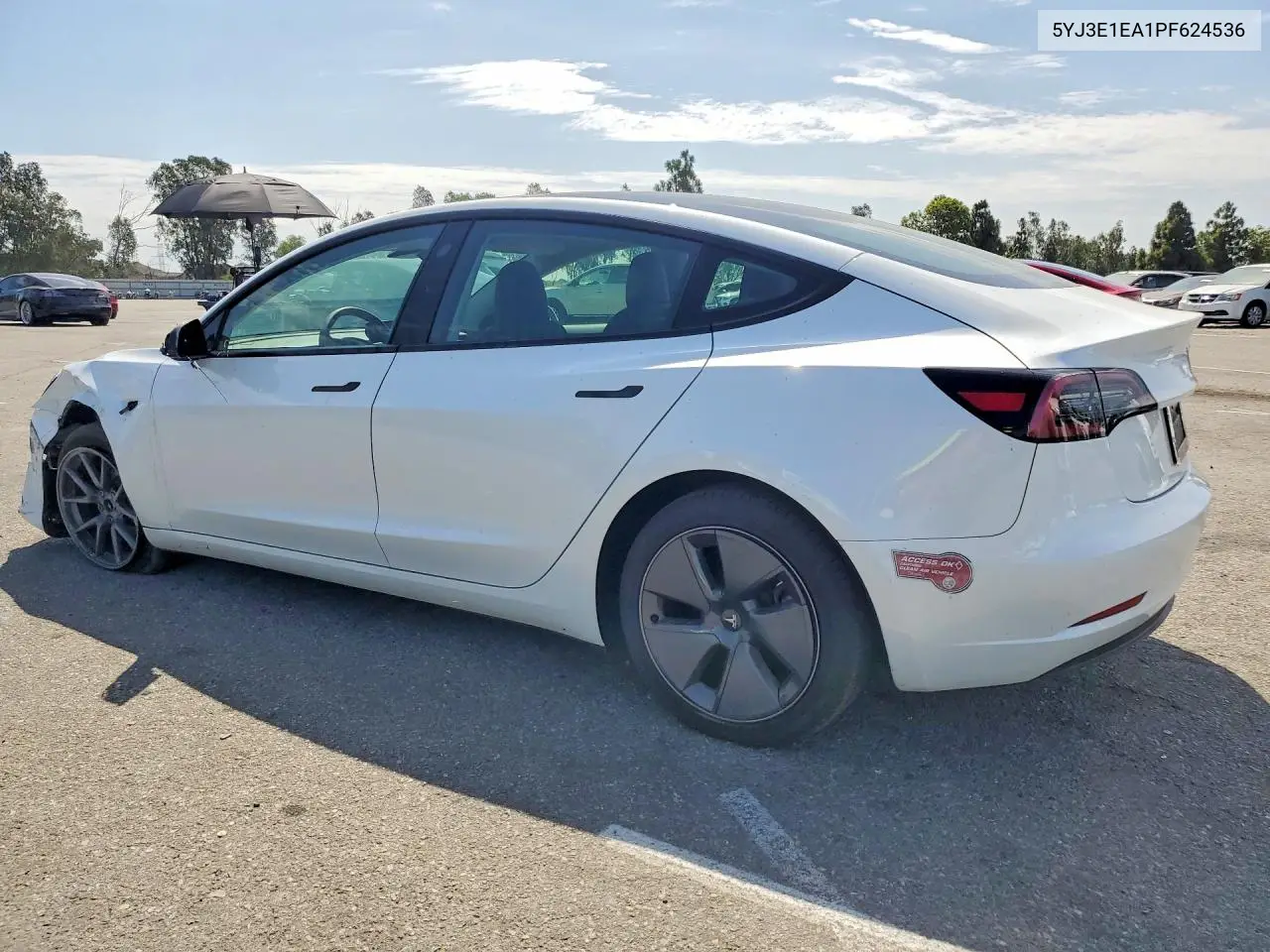 2023 Tesla Model 3 VIN: 5YJ3E1EA1PF624536 Lot: 61960966